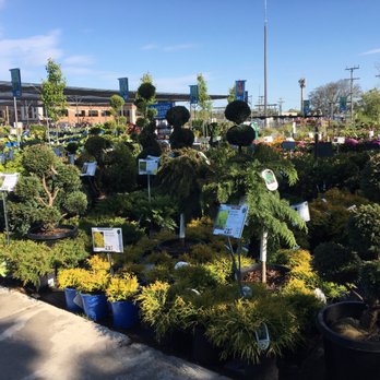 English Gardens - Gardeners Near Me - West Bloomfield, Michigan