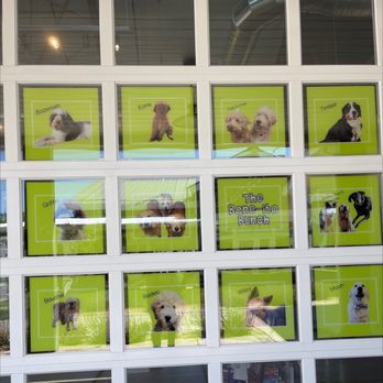 Bone-Ito - Pet Stores Near Me - Reno, Nevada