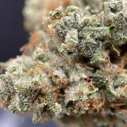 Pakalolo Sunshine Cannabis Delivery