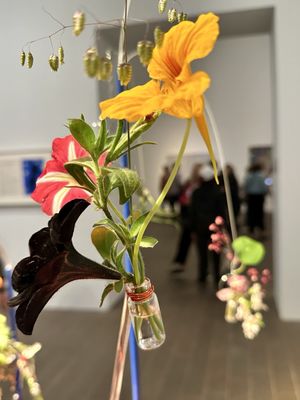 de Young Museum by null