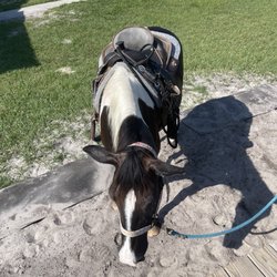 Rock Springs Run Trail Rides