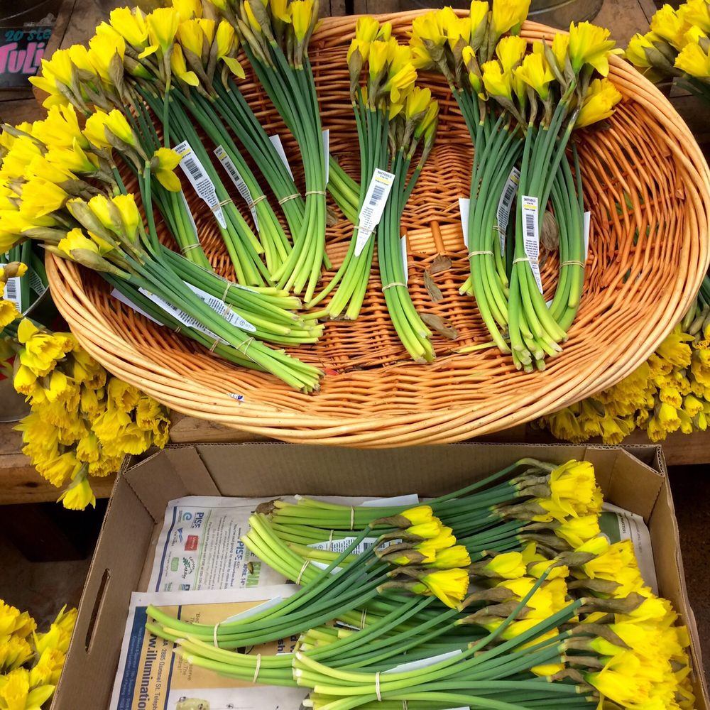 Trader Joe's - :) - Grocery Near Me - Emeryville, California Trader Joe's - :) - Grocery Near Me - Emeryville, California