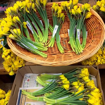 Trader Joe's - :) - Grocery Near Me - Emeryville, California Trader Joe's - :) - Grocery Near Me - Emeryville, California