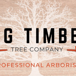 Big Timber Tree's