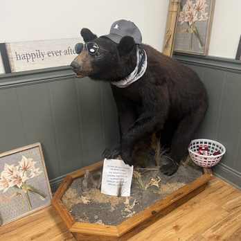 Jungle Gardens - lol cool bear - Botanical Gardens Near Me - Avery Island, Louisiana