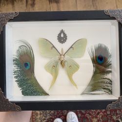 A Touch of Magick