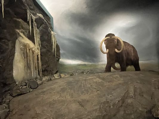 Royal BC Museum by null