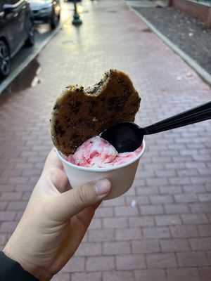 Ellen's Homemade Ice Cream by null