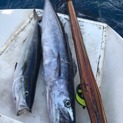 Maui Gourmet Food - Got Fish?!