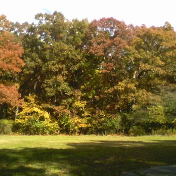 Lemon Lake Park - Lemon Lake, at "Peak Color".  Taken October 23rd. - Parks Near Me - Cedar Lake, Indiana