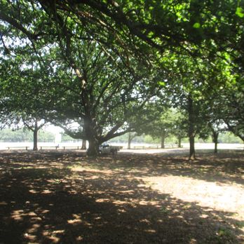 Victoria Park - Path - Parks Near Me - Newington, VIC