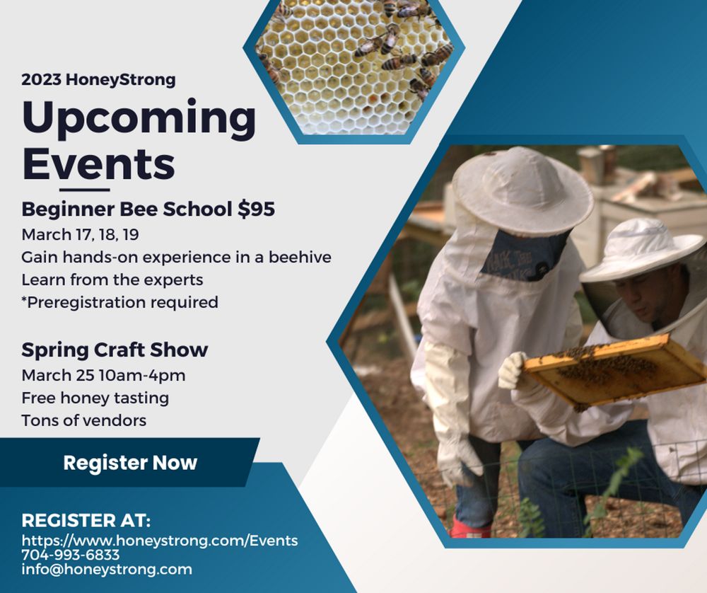 HoneyStrong - beekeeping in Smyrna, SC