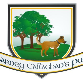Barney Callaghan's Pub - a dog in a field - Irish Pub Near Me - Chicago, Illinois Barney Callaghan's Pub - a dog in a field - Irish Pub Near Me - Chicago, Illinois