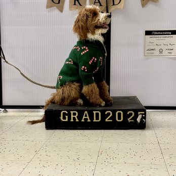 Petco - Beginner Class Graduation - perfect pic because of the trainer - Pet Training Near Me - Augusta, Maine Petco - Beginner Class Graduation - perfect pic because of the trainer - Pet Training Near Me - Augusta, Maine