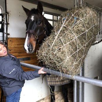 Lukens Horse Transportation - Cheyanne ensures the horses have plenty of hay and are secure through the journey. - Pet Transportation Near Me - Ravena, New York Lukens Horse Transportation - Cheyanne ensures the horses have plenty of hay and are secure through the journey. - Pet Transportation Near Me - Ravena, New York