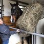 Lukens Horse Transportation