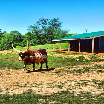 Nova Wild - Petting Zoos Near Me - Vienna, Virginia