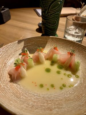 ANIMAL Tijuana by null