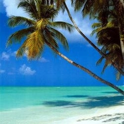Beach House