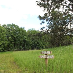 Prairie Pines