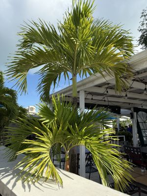 Sand Castle on the Beach by null