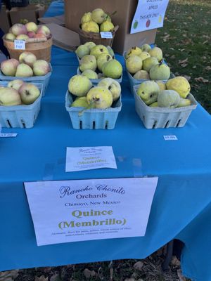 Downtown Growers' Market by null