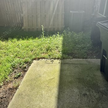 Community Management Associates - Overgrown grass - Property Management Near Me - Atlanta, Georgia Community Management Associates - Overgrown grass - Property Management Near Me - Atlanta, Georgia