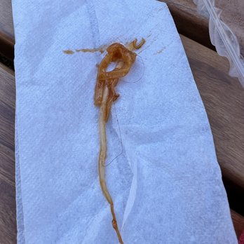 Thai Basil Cuisine - Hair in my pad that - Thai Near Me - Berkeley, California