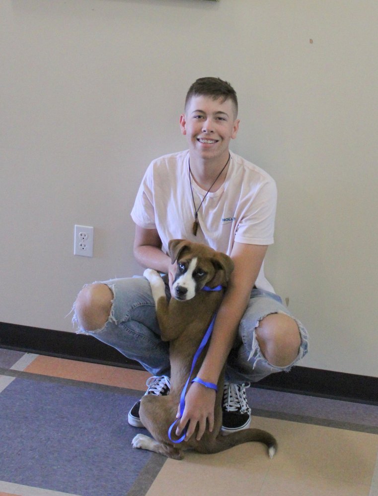 YUCCA VALLEY ANIMAL SHELTER 43 Photos 4755 Malin Way, Yucca Valley