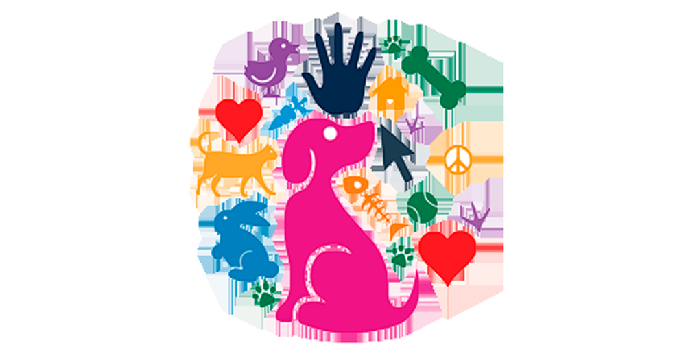 AMAZON PET CENTER Updated June 2024 Seyit Ömer Mah., İstanbul