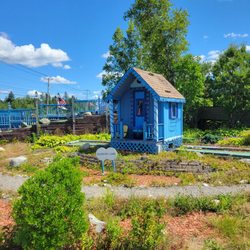 Wild Blueberry Land - Aug 2026