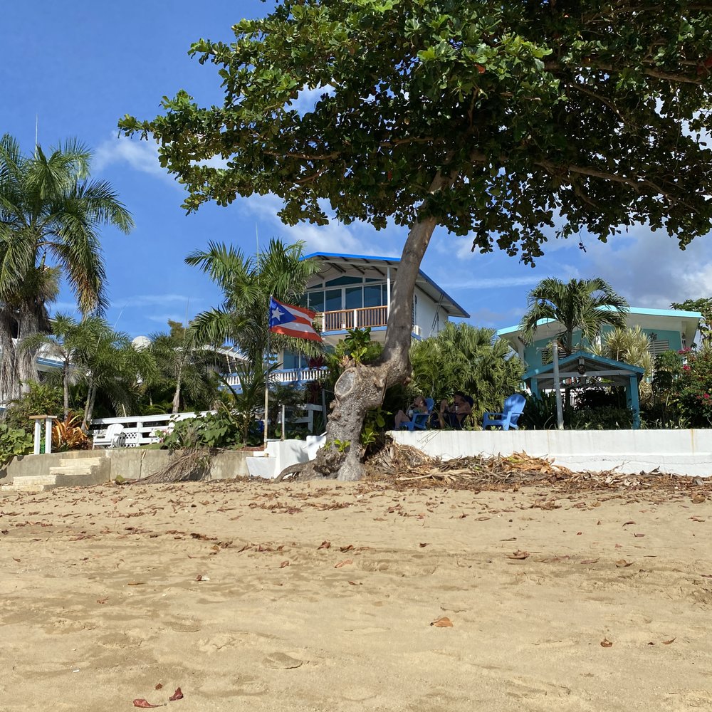 Playa Escalera - Steps Beach - Beaches Near Me - Rincon, Puerto Rico