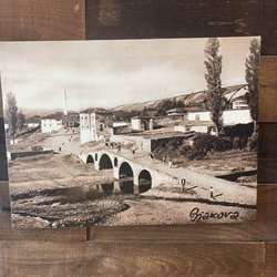 Arberia
