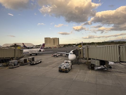 Hawaiian Airlines by null