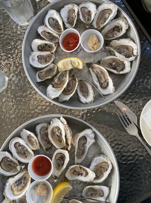 The Oyster Company by null