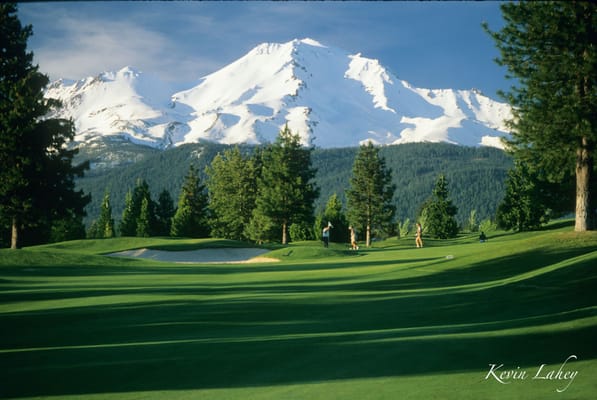 Mount Shasta Resort by null