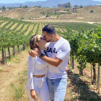 Tour del Vino - Temecula's vineyards - Wine Tours Near Me - Temecula, California
