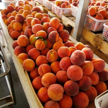 Rick's Farm Market - a display of peaches - Farmers Market Near Me - Muscle Shoals, Alabama Rick's Farm Market - a display of peaches - Farmers Market Near Me - Muscle Shoals, Alabama