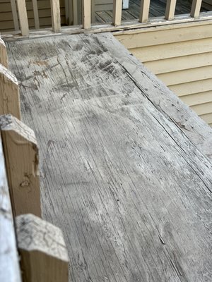 The Homestead by null