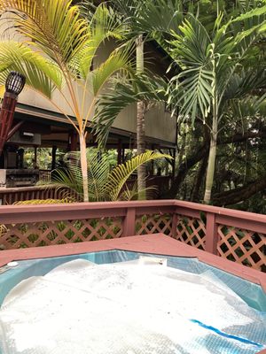 Honu Kai Bed & Breakfast by null