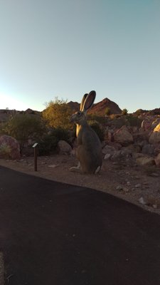 Bootleg Canyon by null