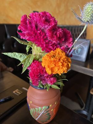 Casa Agave Restaurant by null