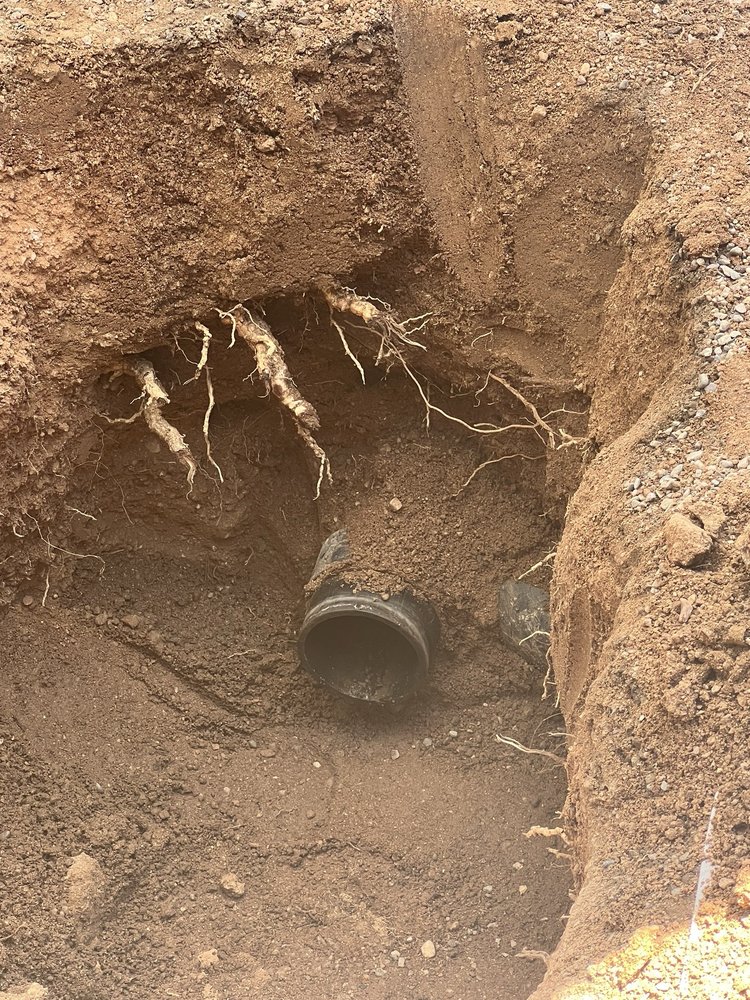 Slide of Zippity Split