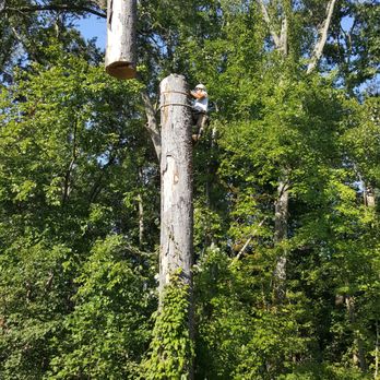Guzman Brothers Tree Services - Tree Services Near Me - Zebulon, North Carolina