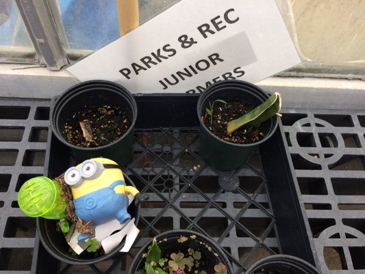 Fairmount Park Horticulture Center by null