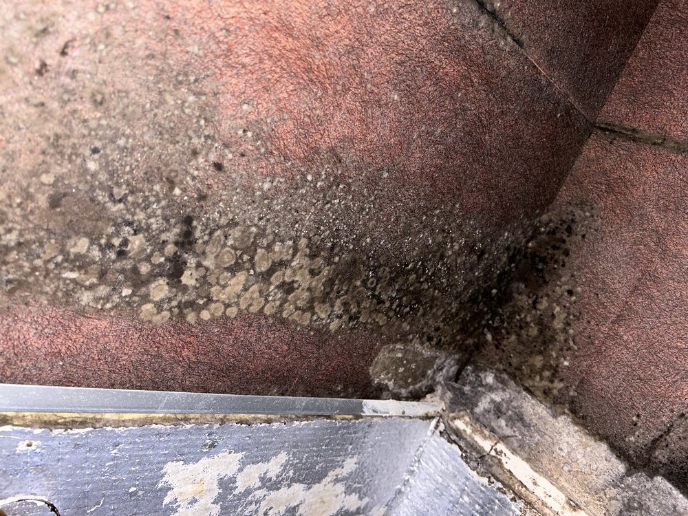 THE DUCT CLEANERS 12513 Wethersby Way, Austin, Texas Air Duct