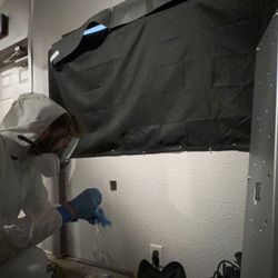 Environmental Mold Inspections - Asbestos Sampling