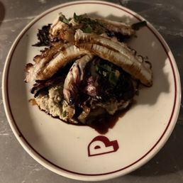 Grilled octopus