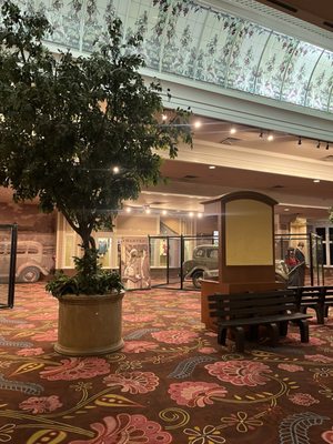 Primm Valley Casino Resorts by null