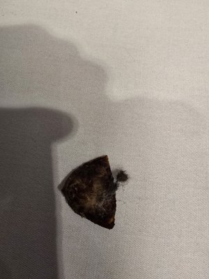 Our Little Secret Cafe & Catering by null